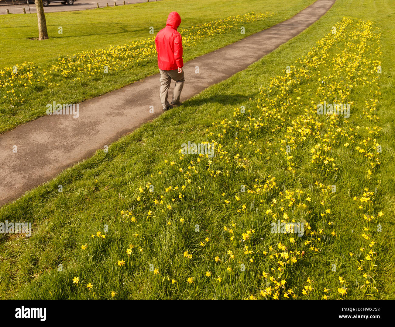 spring walking jacket