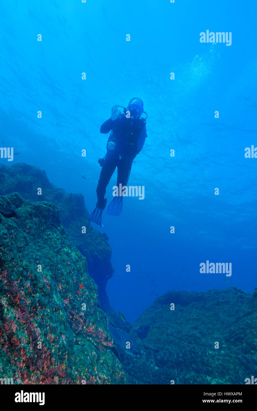 Scuba diver hanging midwater above rocky seabed Stock Photo