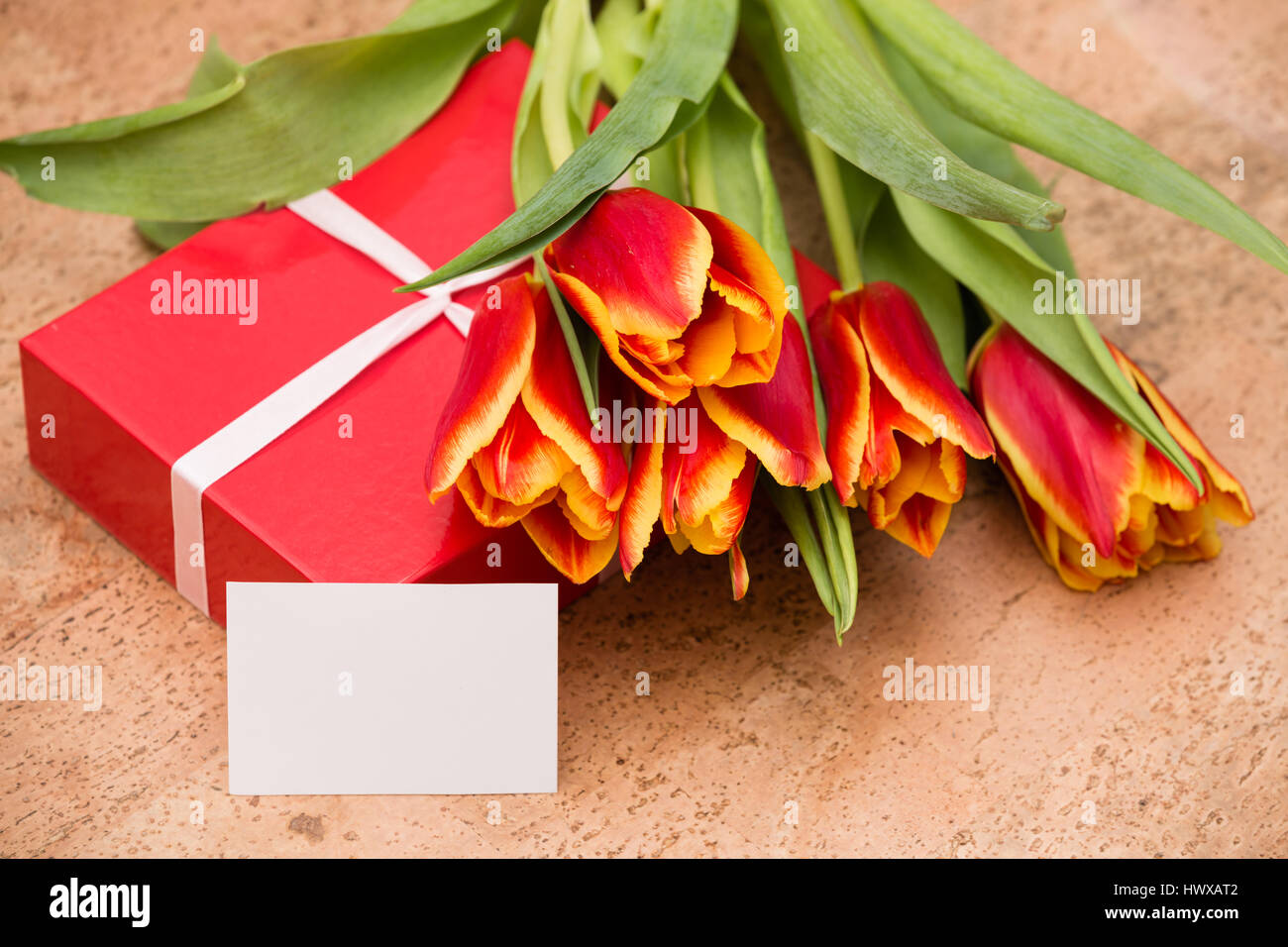 The tulips and gift box on a cork floor Stock Photo