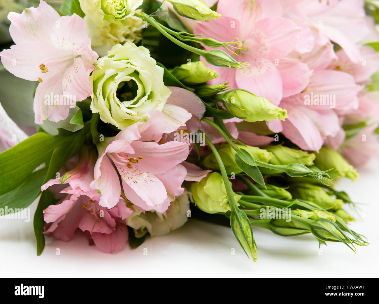Pink green flowers hi-res stock photography and images - Alamy