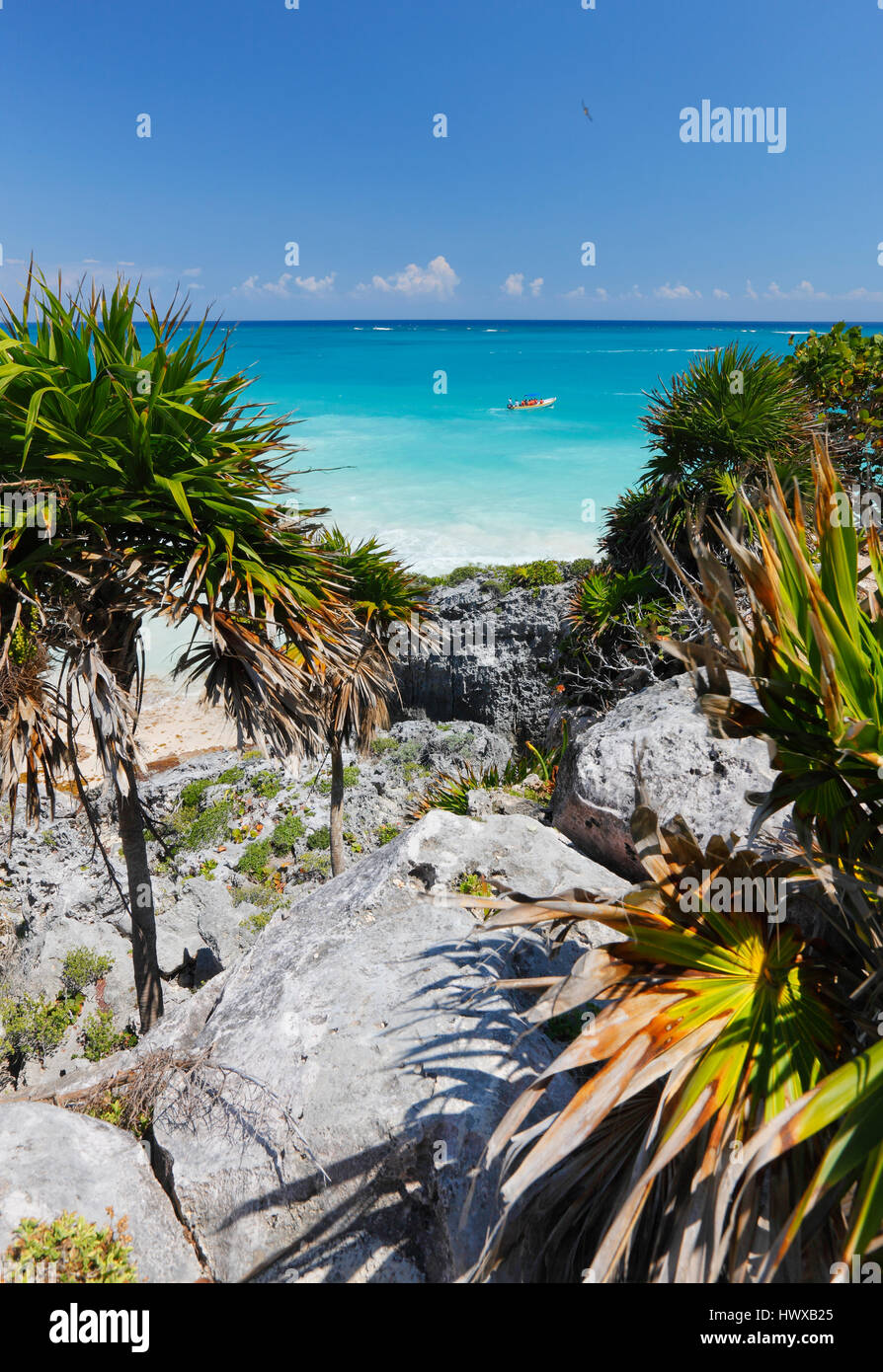 Rocky coastline palm trees hi-res stock photography and images - Alamy