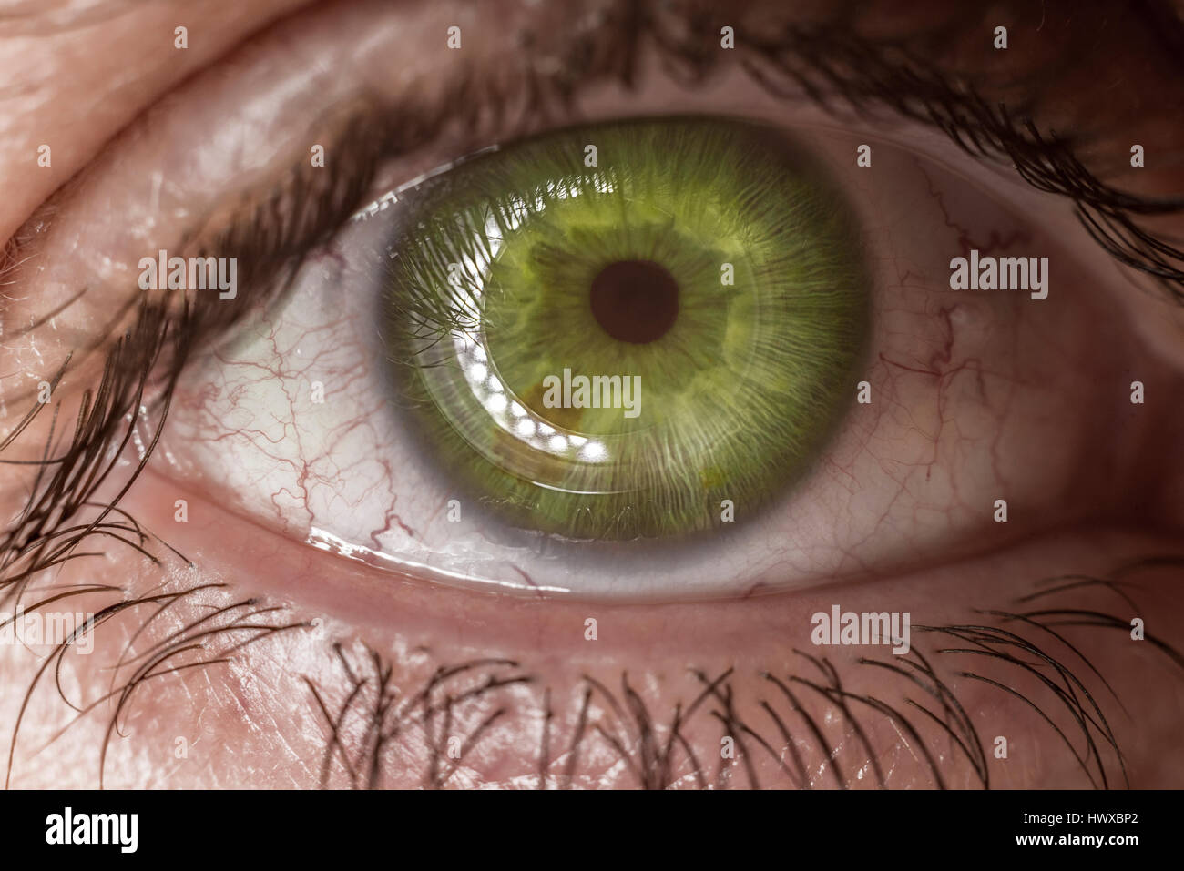 Macro Green Human Eye Stock Photo