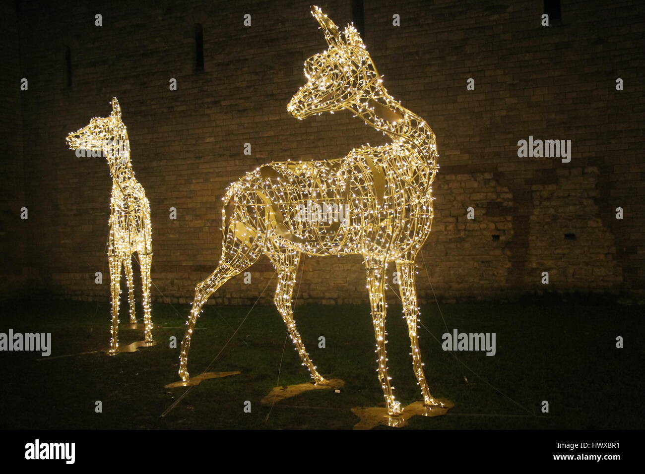Cardiff Deer Christmas Lights Stock Photo Alamy