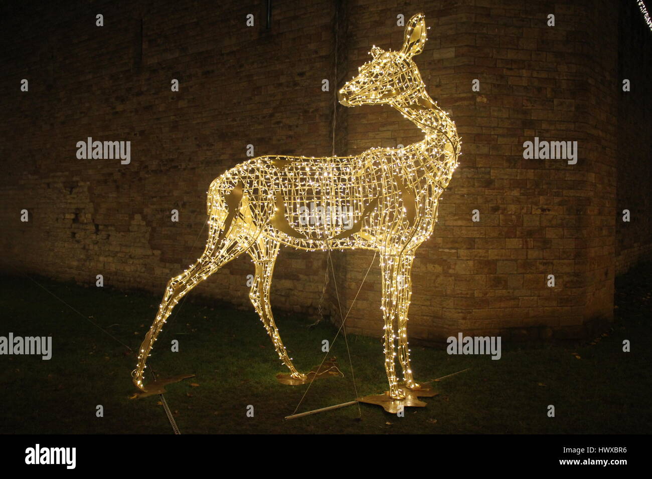 Cardiff castle christmas hires stock photography and images Alamy