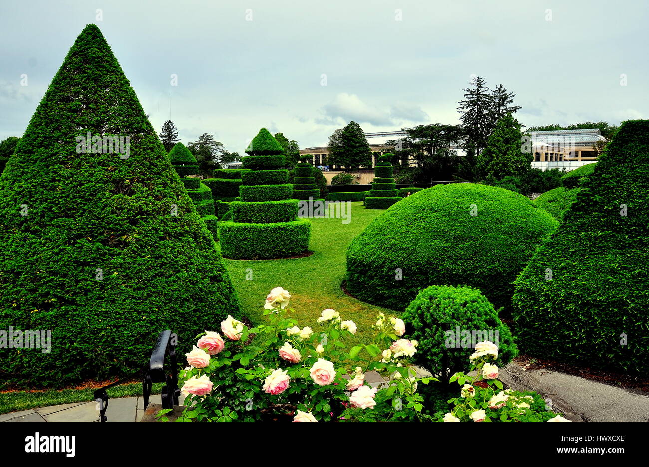 Kennett Square, Pennsylvania - June 3, 2015:  Clipped taxus (yew) trees in the Topiary Garden at Longwood Gardens   * Stock Photo