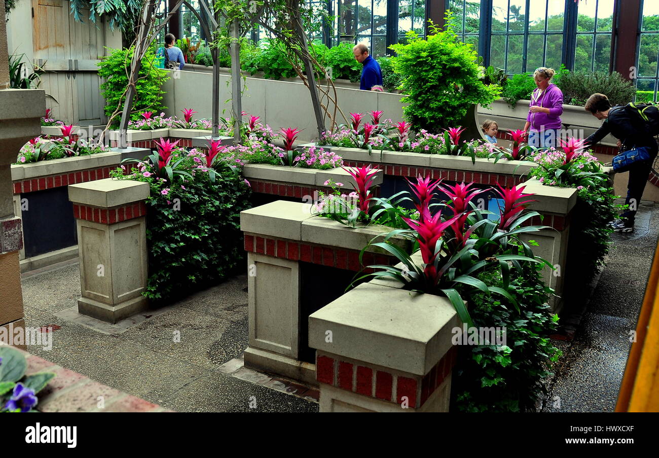 Kennett Square, Pennsylvania - June 3, 2015:  Pink Petunias and red Bromeliads add colour to the imaginative Children's Garden at Longwood Gardens  * Stock Photo