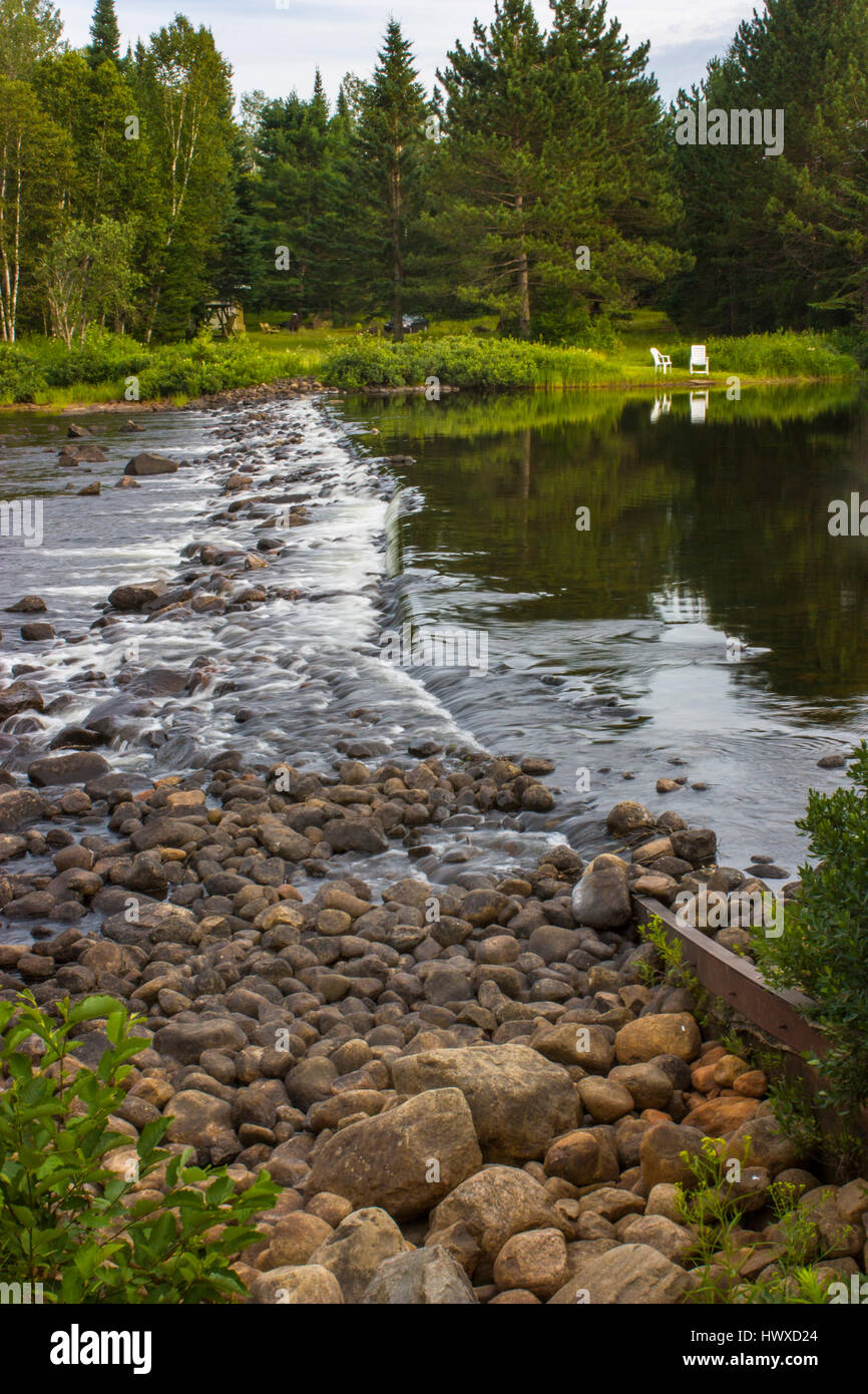 river with rocks in a forest Stock Photo - Alamy