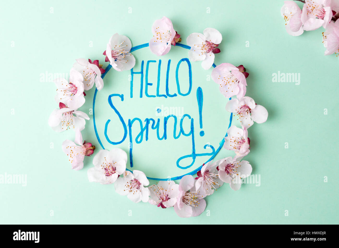 Hello spring calligraphy note with cherry blossom flowers Stock Photo ...