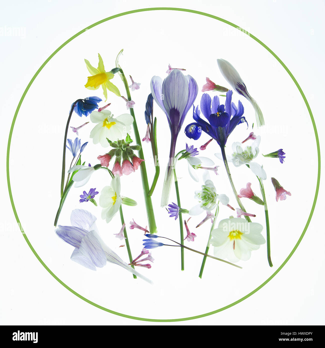 Key spring hi-res stock photography and images - Alamy