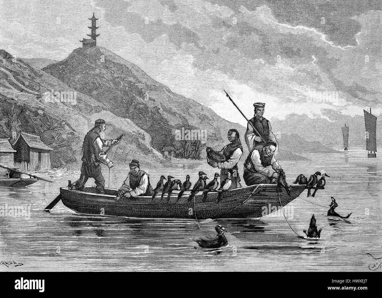 Fishing with the cormorants, Phalacrocoracidae, in China, reproduction of an image, woodcut from the year 1881, digital improved Stock Photo