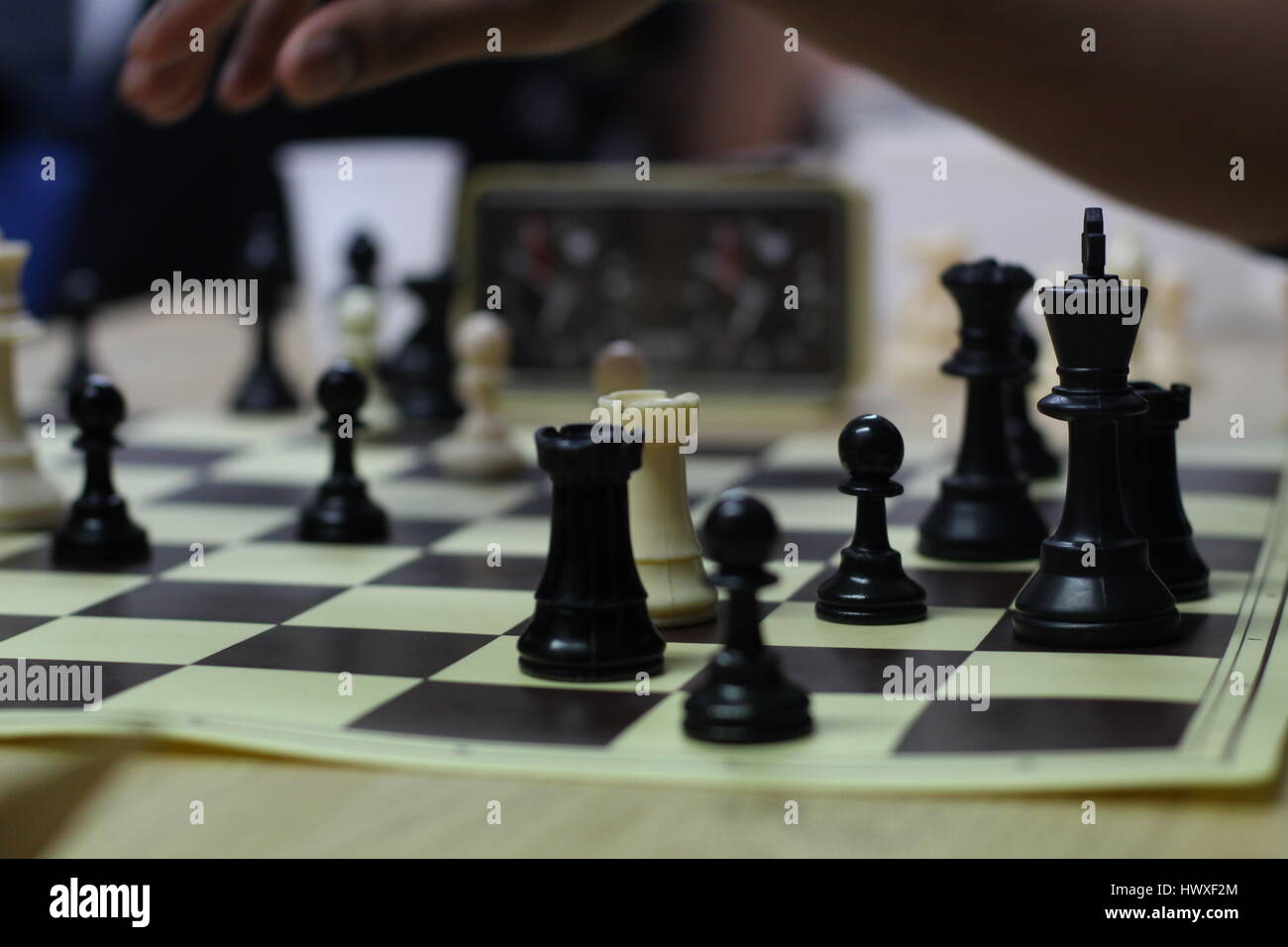 Friendly Games at a Local Chess Club Stock Photo - Alamy