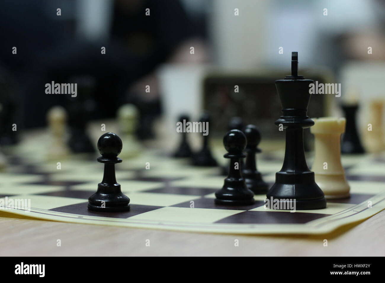 Friendly Games at a Local Chess Club Stock Photo - Alamy