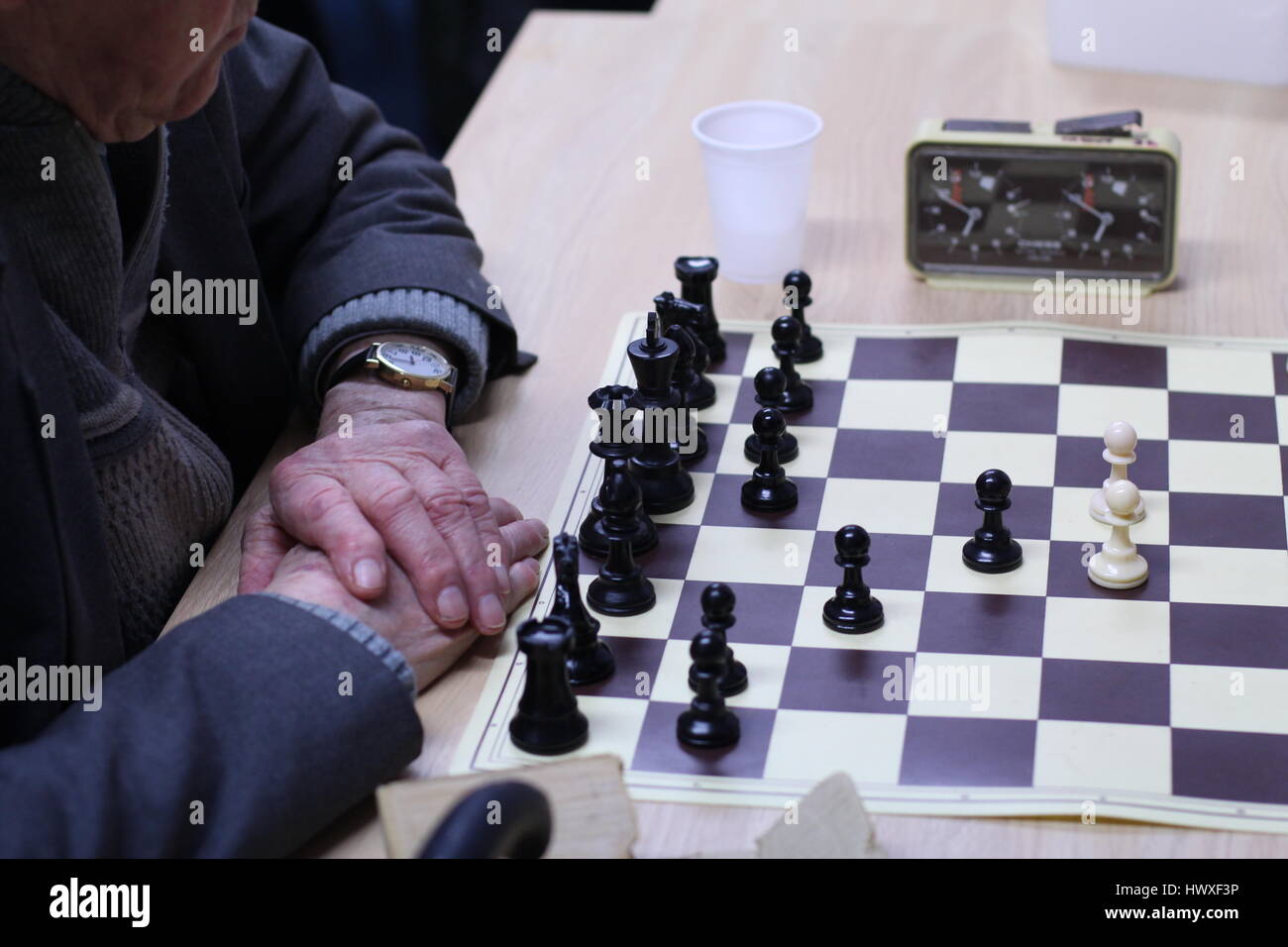 Friendly Games at a Local Chess Club Stock Photo - Alamy