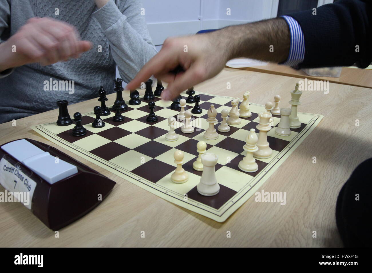 Friendly Games at a Local Chess Club Stock Photo - Alamy