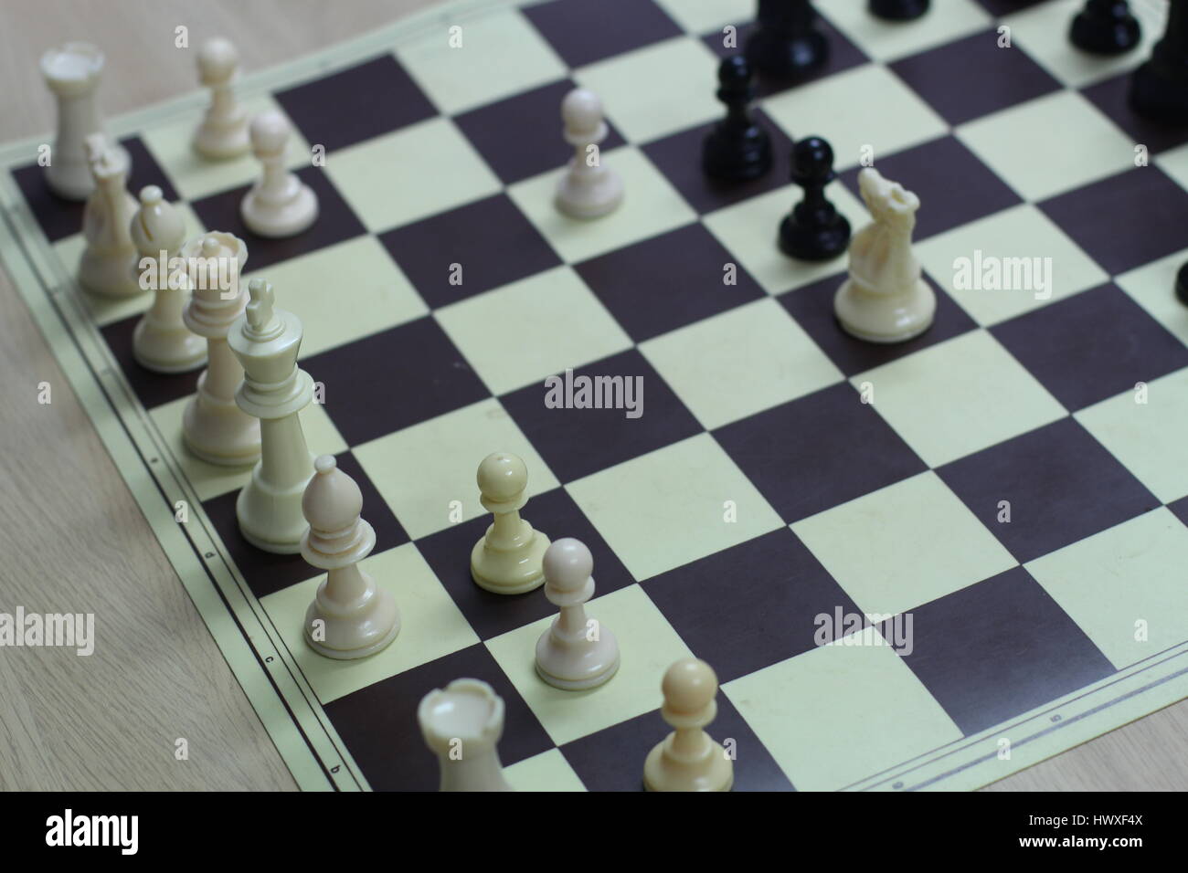 Friendly Games at a Local Chess Club Stock Photo - Alamy