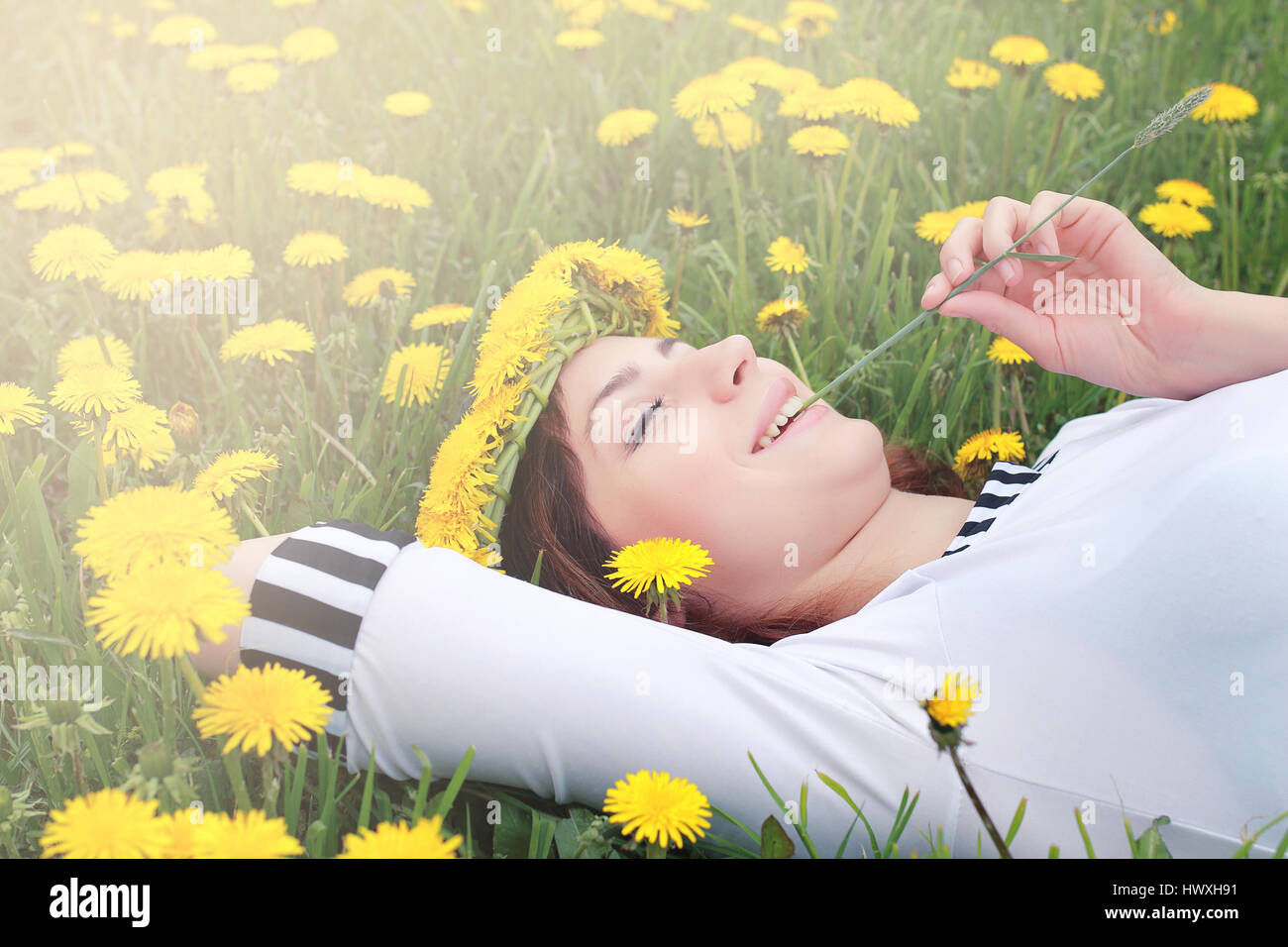 girl resting on a sunny day in meadow of yellow dandelions Stock Photo ...
