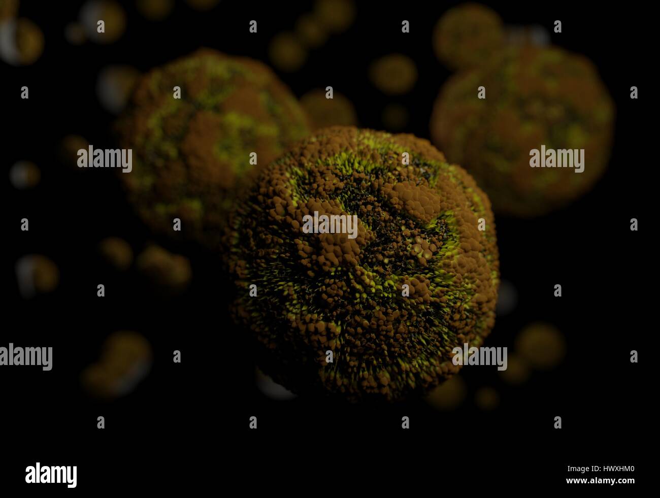 Infection bacteria virus cell on black 3d render Stock Photo - Alamy