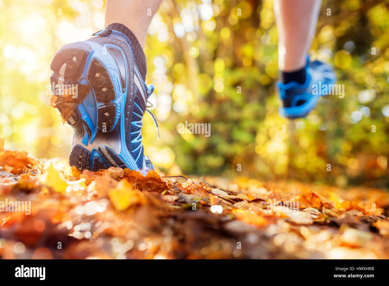Outdoor cross-country running in summer autumn sunshine concept for exercising, fitness and healthy lifestyle Stock Photo