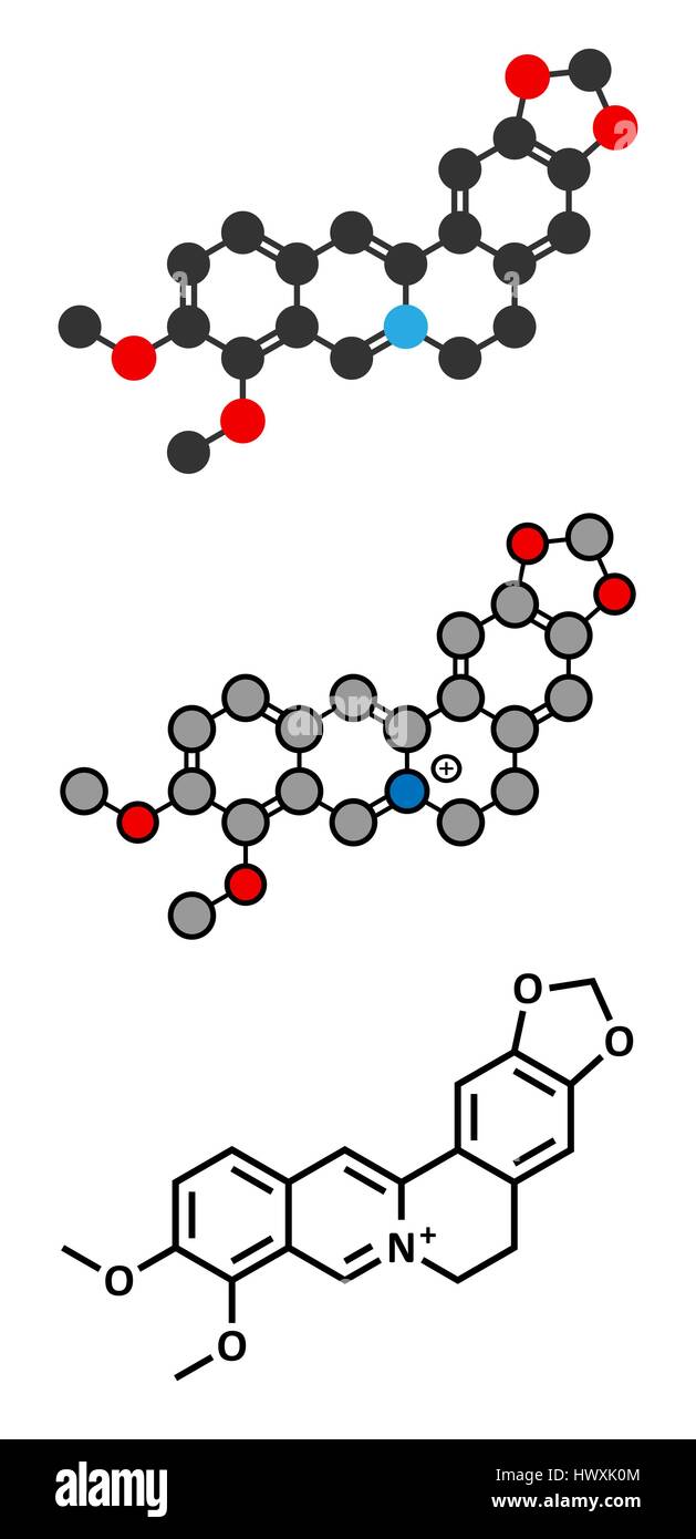 Berberine herbal medicine molecule. Stylized 2D renderings and conventional skeletal formula. Stock Vector