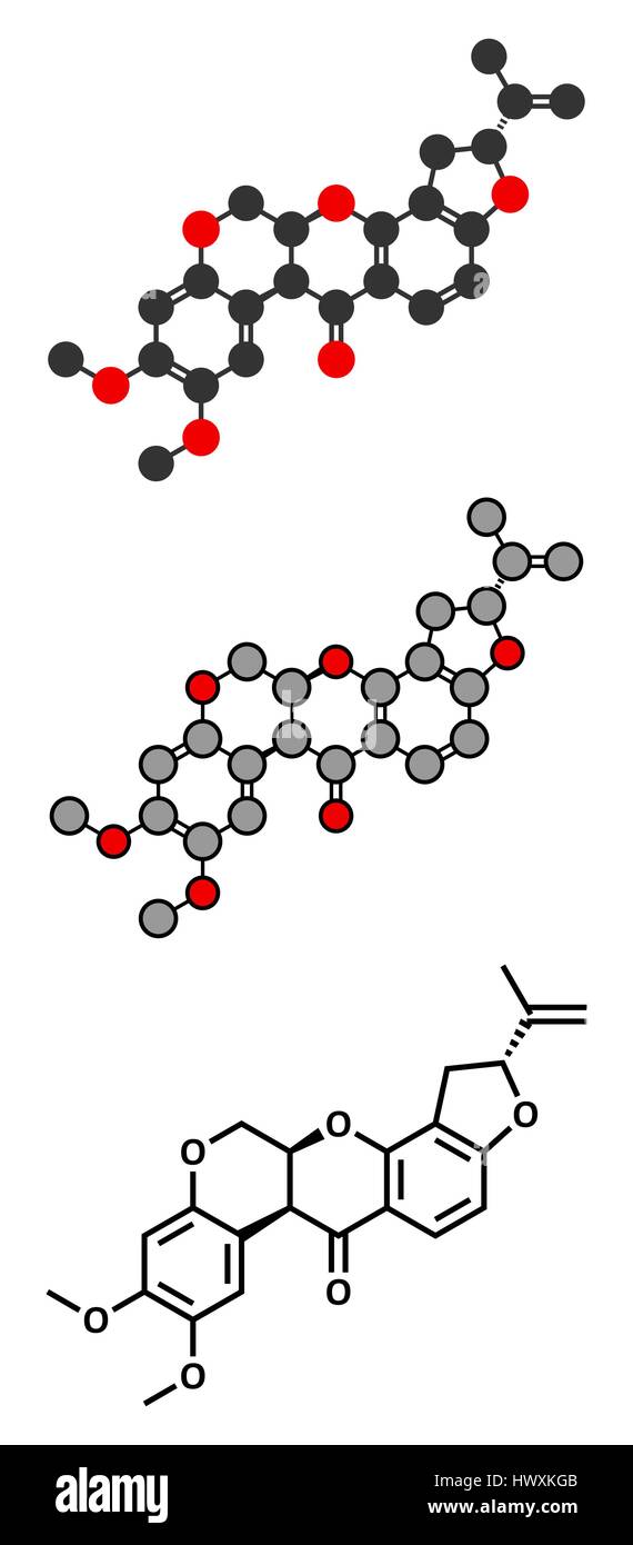 Rotenone broad-spectrum insecticide molecule. Also linked to development of Parkinson’s disease. Stylized 2D renderings and conventional skeletal form Stock Vector