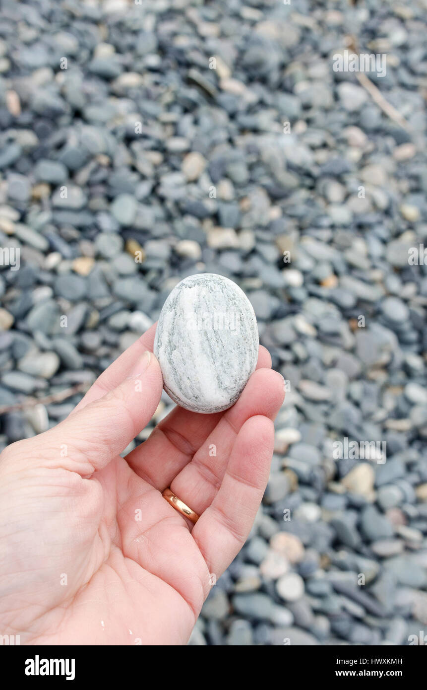 A woman's hand holds a pale beach stone with swirled pattern, Little Cranberry Island, Maine. Stock Photo