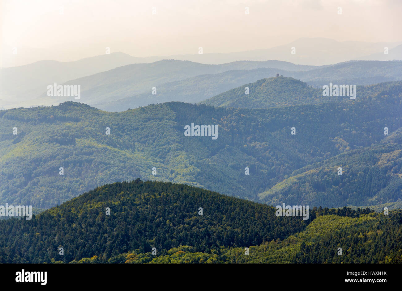 View of Vosges mountains in Alsace - France Stock Photo