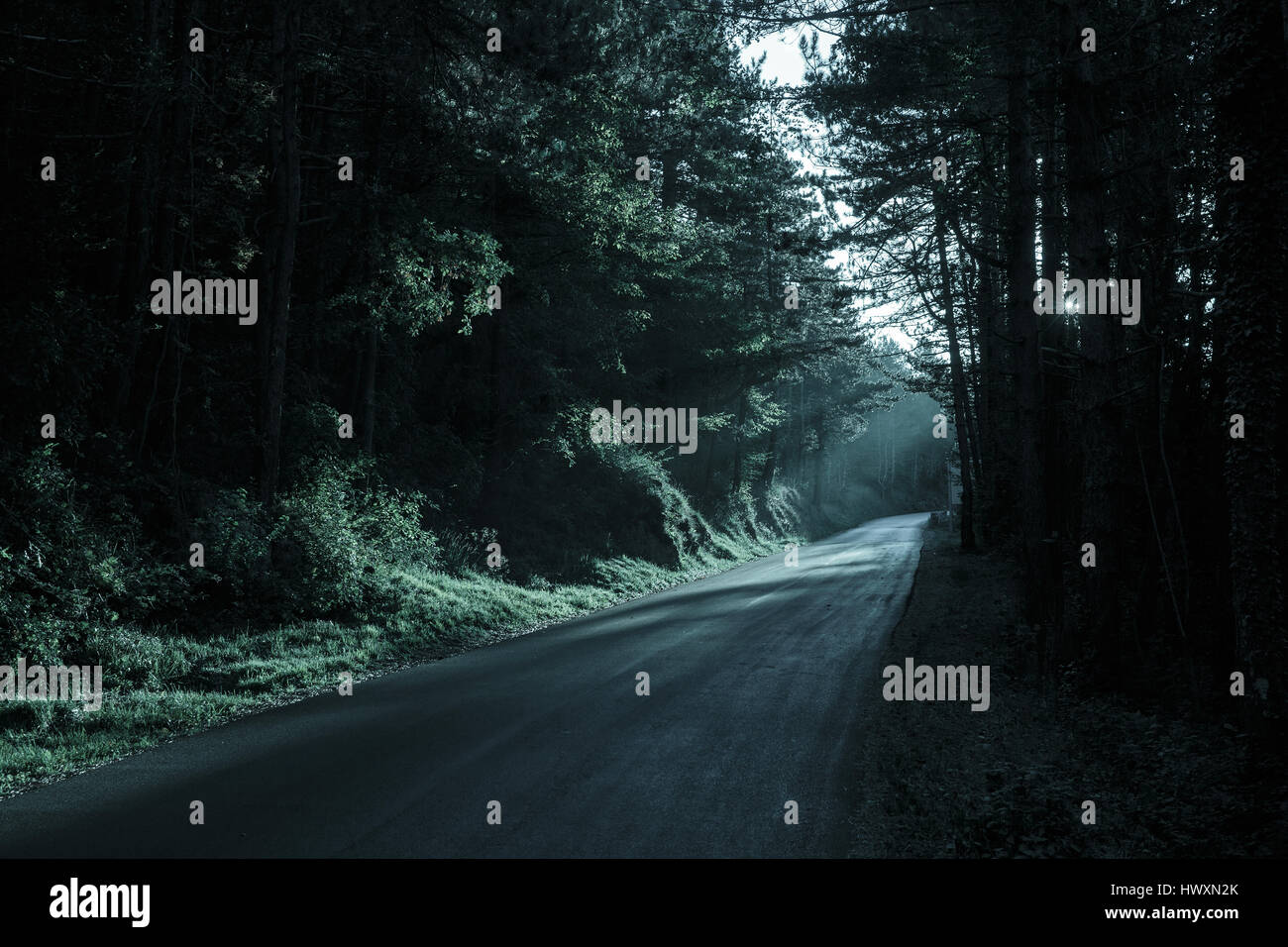 Spooky dark forest with empty road in receding light. Emotional, gothic background, eerie natural scene concept. Stock Photo
