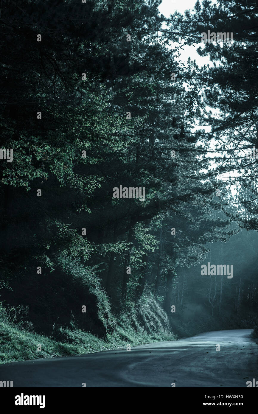 Dark forest with empty road in receding light. Emotional, gothic background, eerie natural scene concept. Stock Photo