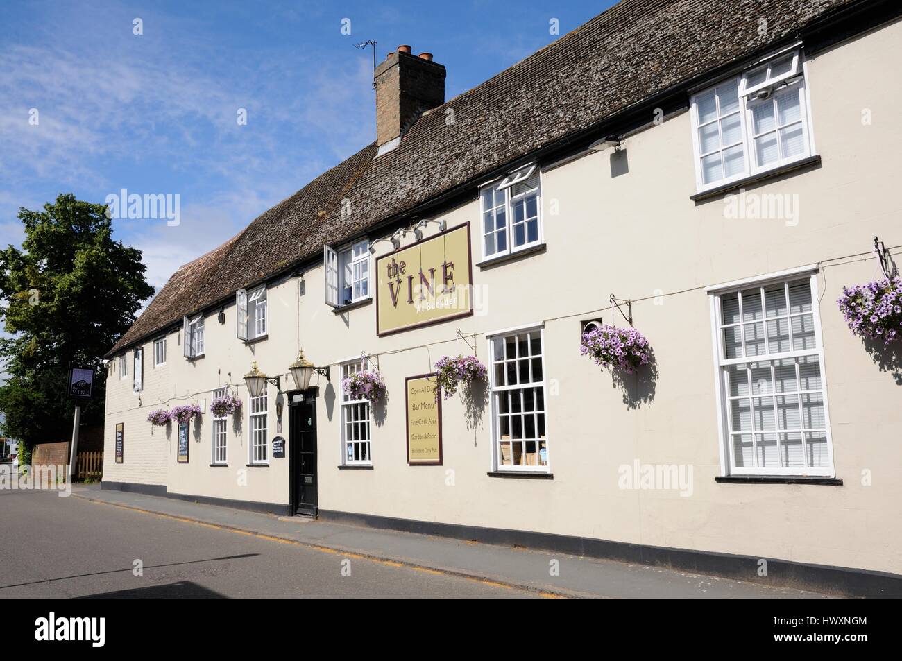 The Vine, Buckden, Cambridgeshire, is the only remaining traditional pub in the village. It once had its own brewery. Stock Photo