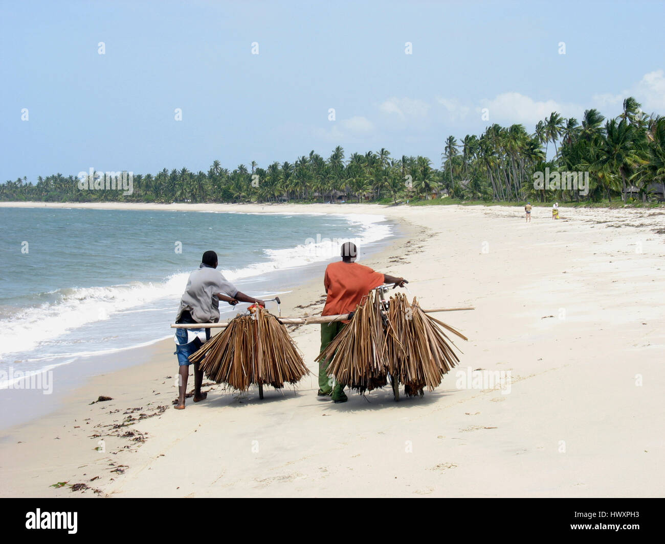 Two men pushing their bicycles loaded with palm leaves along the beach, Pangani, Tanga region, Tanzania Stock Photo