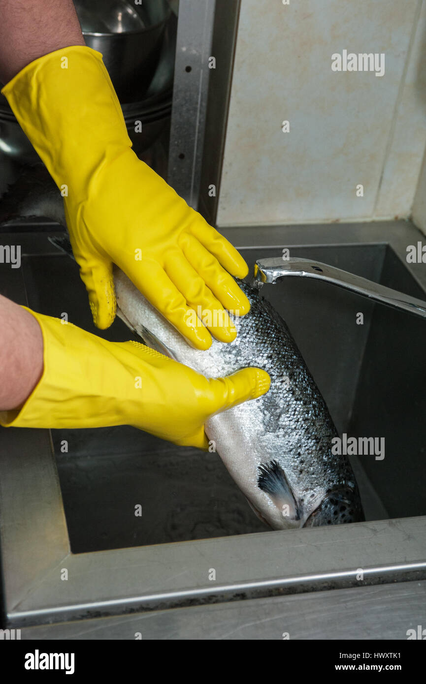 cleaning salmon fish Stock Photo Alamy