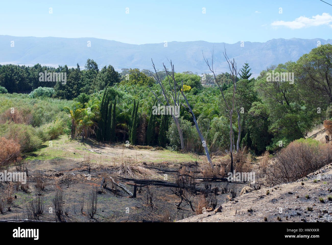 Landscape of Tulbagh, from Train passing through the Franschhoek Pass ...