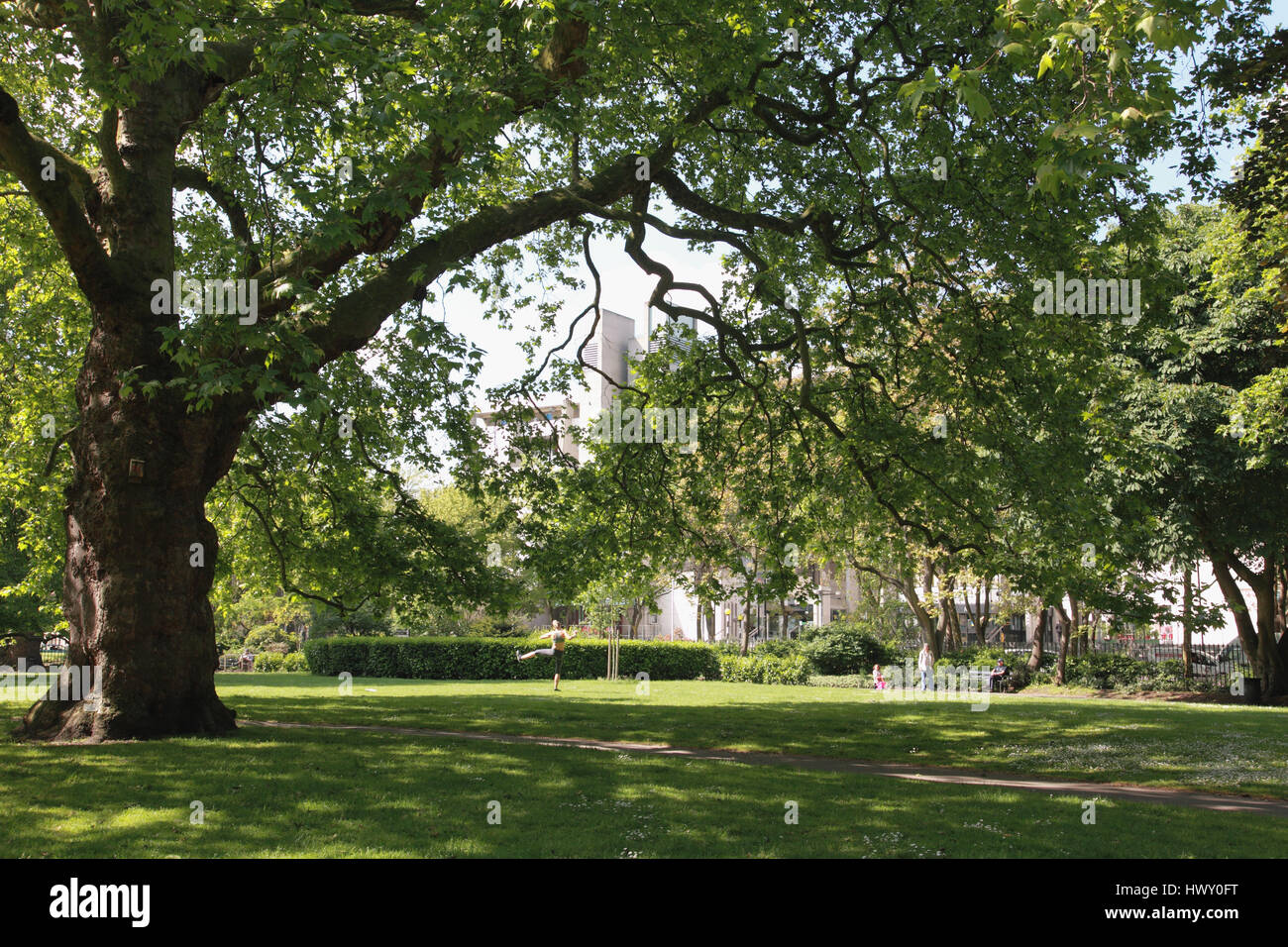 Brunswick Square gardens, a public park in Bloomsbury, central London Stock Photo