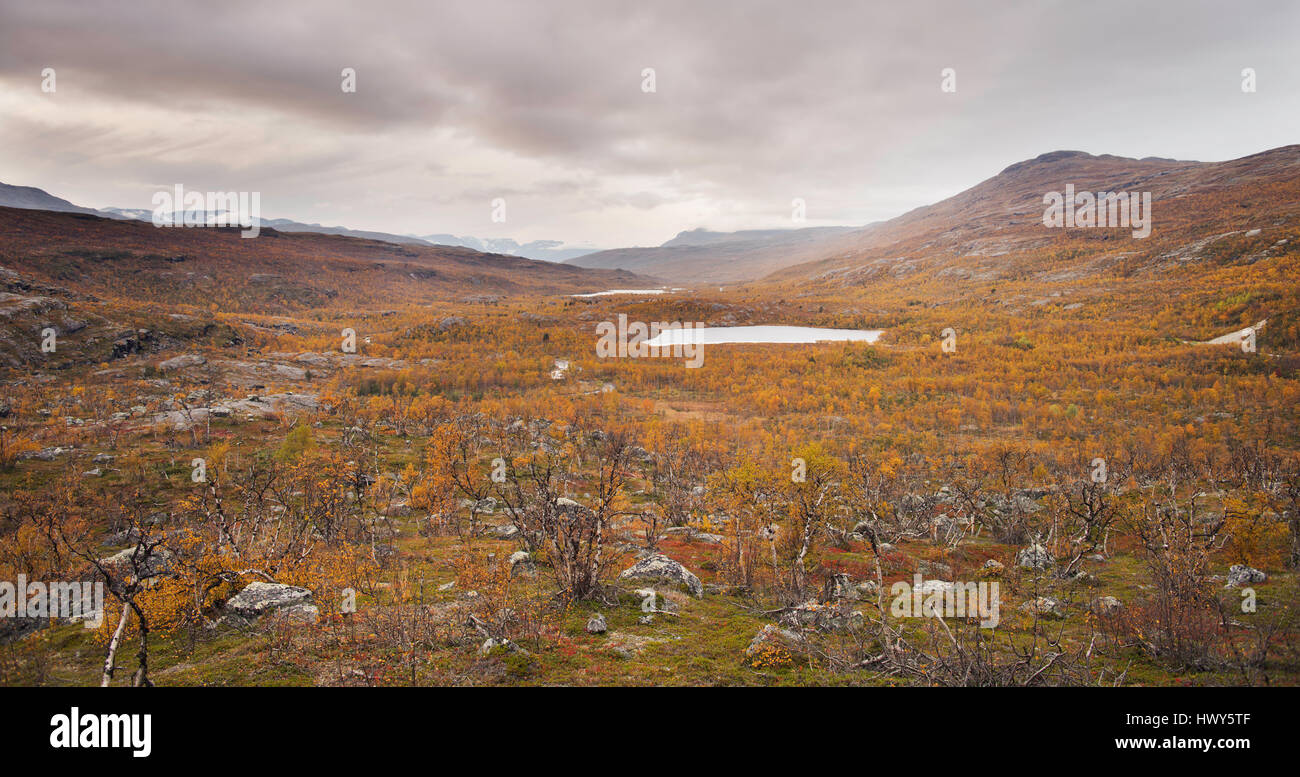 AUTUMN VIEW OF LAPLAND IN SWEDEN NEAR THE NORWEGIAN, FINNISH AND SWEDISH BORDER. Stock Photo