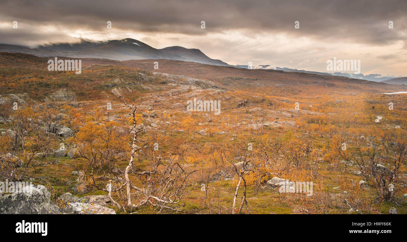 AUTUMN VIEW OF LAPLAND IN SWEDEN NEAR THE NORWEGIAN, FINNISH AND SWEDISH BORDER. Stock Photo