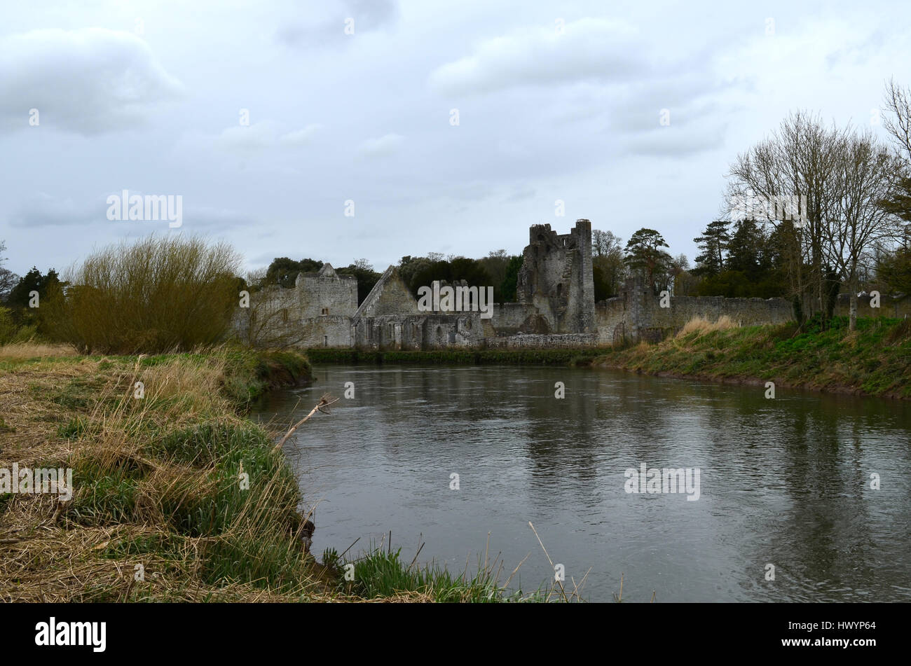 Ruins of Desmond Castle in Adare Ireland Stock Photo Alamy