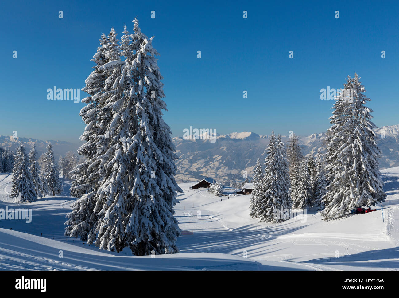 Austria, St Johann im Pongau, snow-covered winter landscape Stock Photo