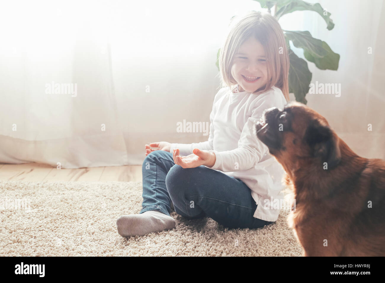 Happy little girl with her dog at home Stock Photo