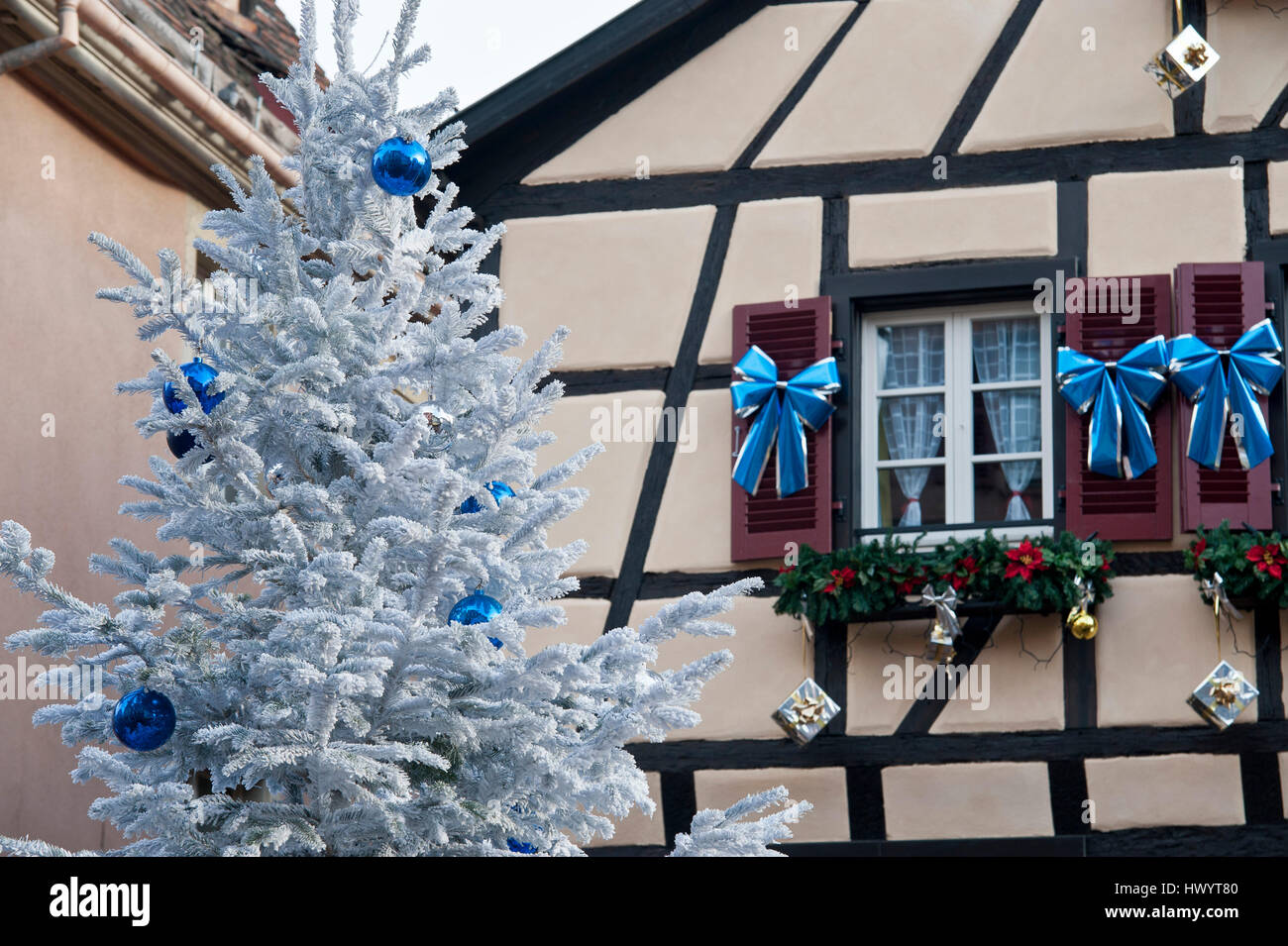big white christmas tree in front of a fachwerk house in the center of colmar, in alsace Stock Photo