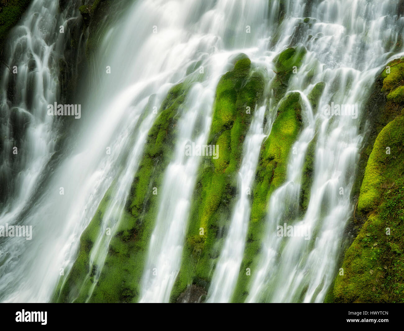 Panther Creek Falls. Washington Stock Photo