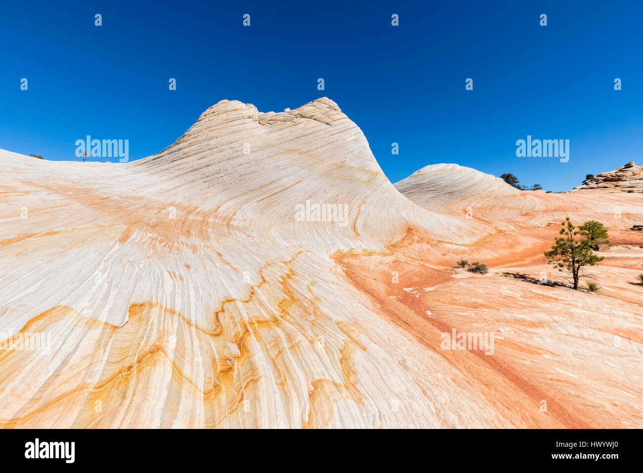 USA, Utah, Canaan Mountain, Hildale, hiking trip towards White Domes