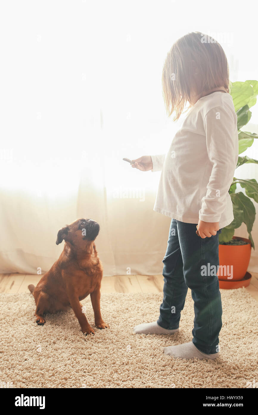 Little girl training her dog to sit at home Stock Photo