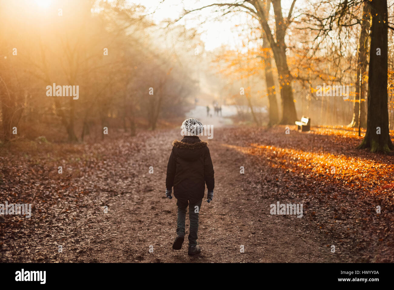 Boy walking through a sun drenched forest Stock Photo