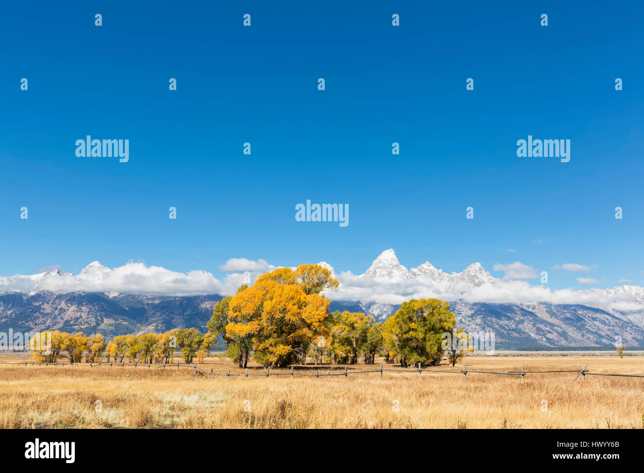 USA, Wyoming, Rocky Mountains, Grand Teton National Park, Cathedral Group and aspens in autumn Stock Photo