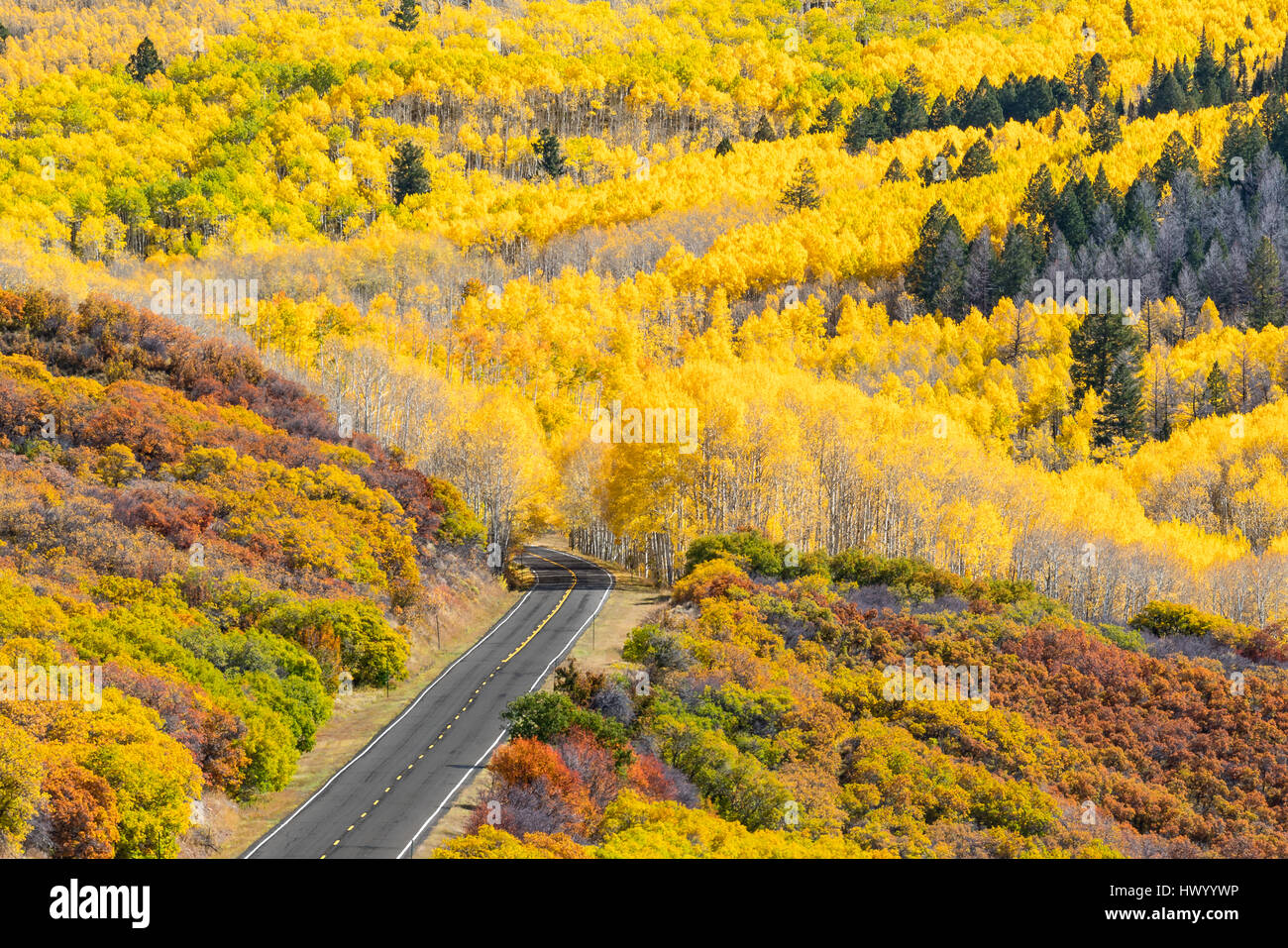 Fall foliage colorado hires stock photography and images Alamy