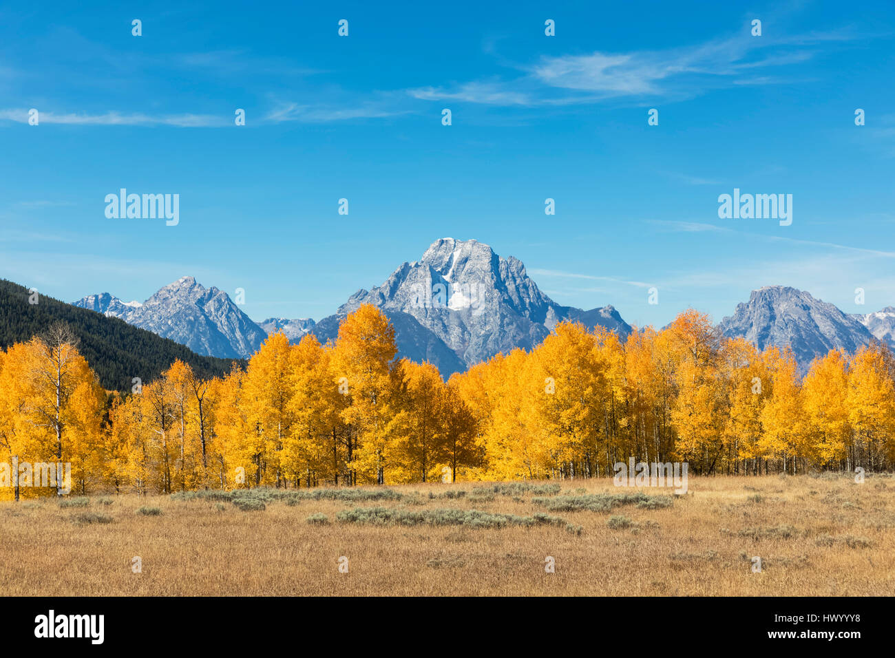 USA, Wyoming, Rocky Mountains, Teton Range, Grand Teton National Park, Mount Moran and aspens in autumn Stock Photo