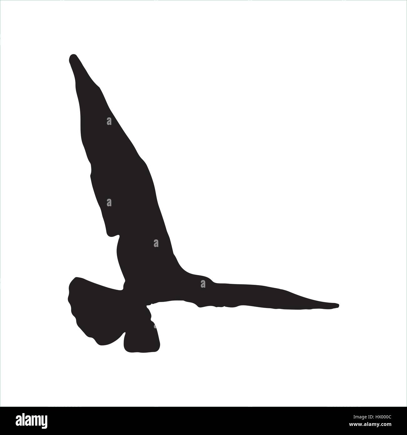 Flying Seagull Bird Black Silhouette Isolated On White Background Stock
