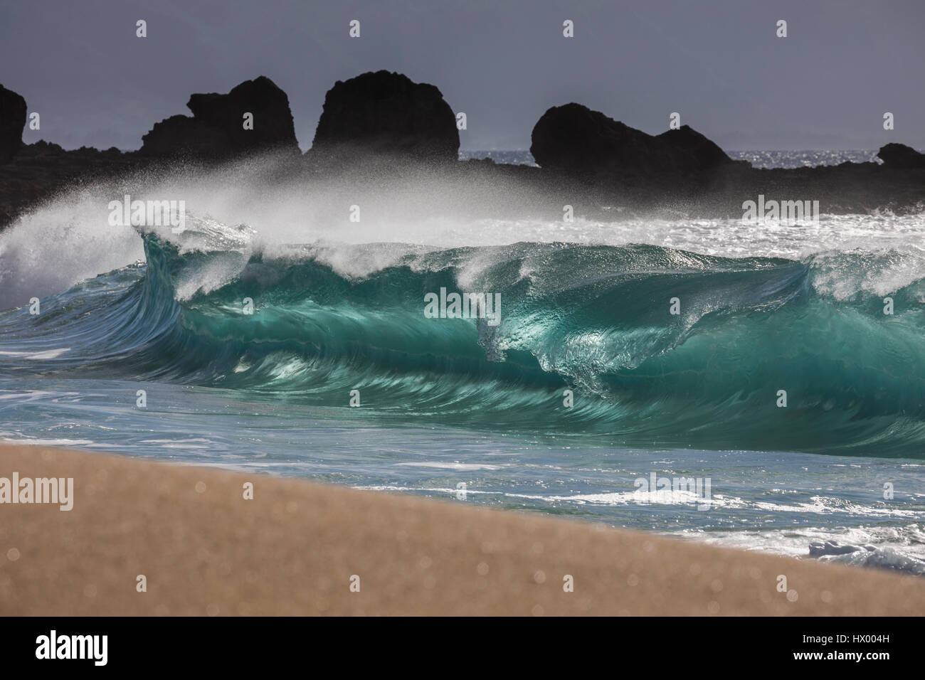 A shore break wave at Keiki beach on the North Shore of Oahu. Stock Photo