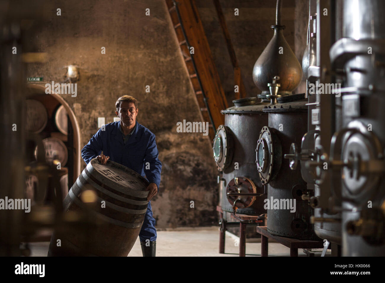 Worker working in distillery Stock Photo