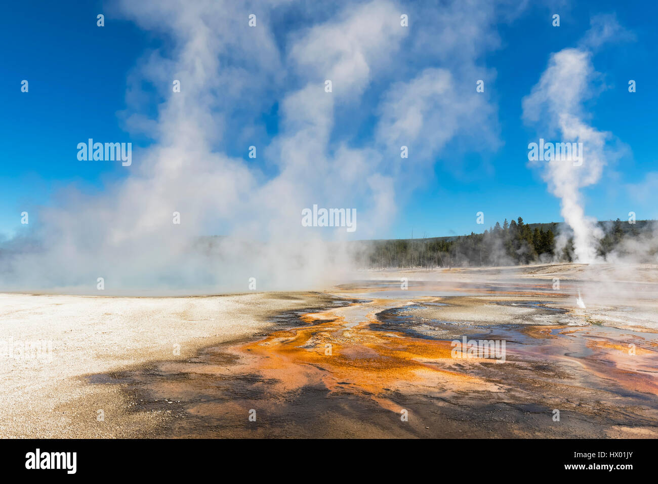 USA, Yellowstone National Park, Black Sand Basin, steaming Rainbow Pool Stock Photo